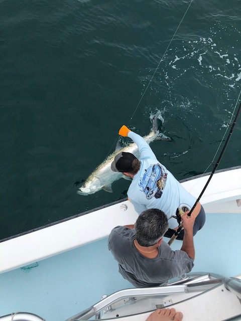 Tarpon Fishing on Anna Maria Island