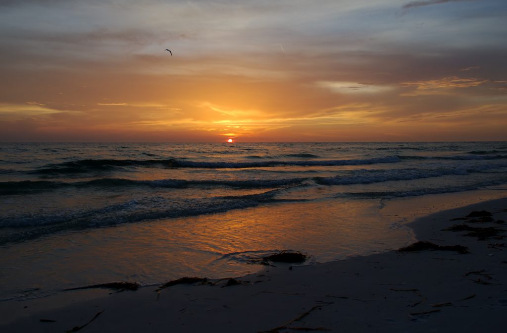 Have a Perfect Beach Day on Anna Maria Island