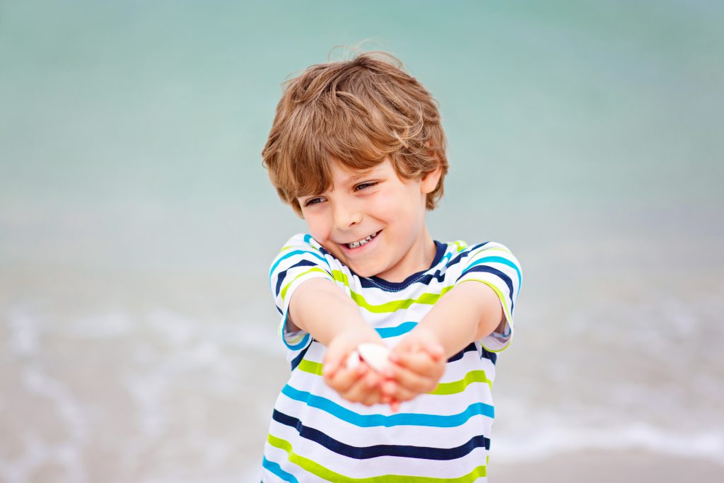 Hunt for Shells on Anna Maria Island