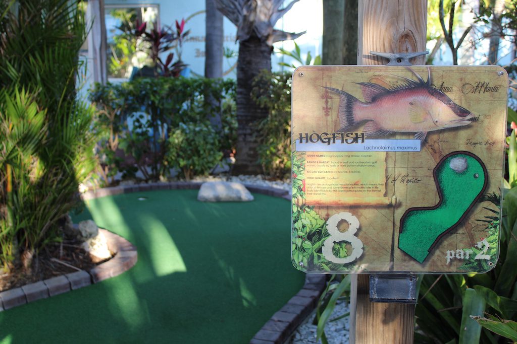 Mini Golf on AMI