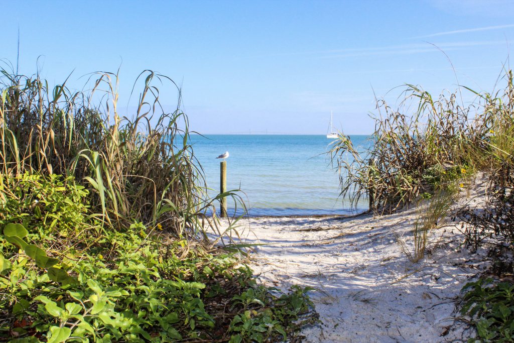 
Sunshine Skyway view from Anna Maria Island
