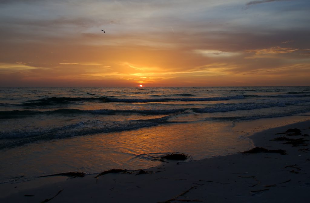 Perfect Places to See the Sunset on Anna Maria Island