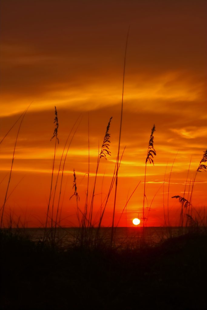 Perfect Places to See the Sunset on Anna Maria Island
