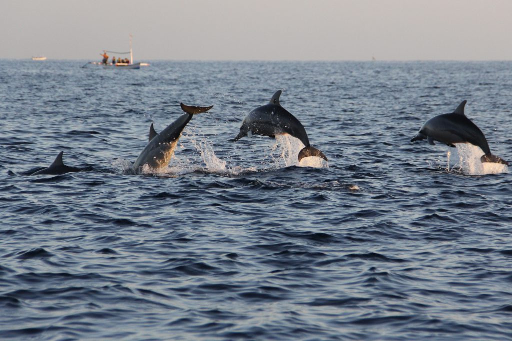 Easter is Coming…Let’s Head to Anna Maria Island!