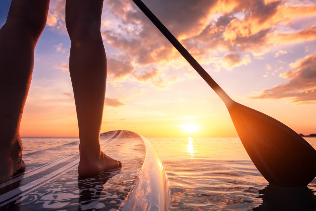 Experience Kayaking & Paddleboarding on Anna Maria Island