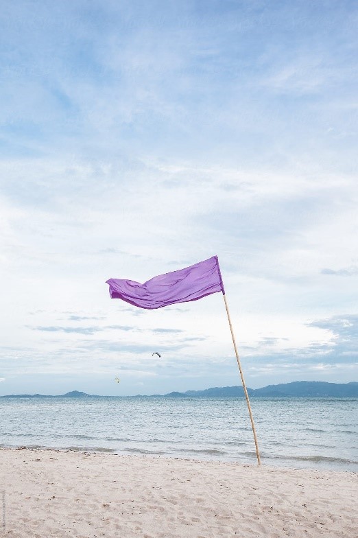 Purple Beach Flag - Dangerous Marine Life