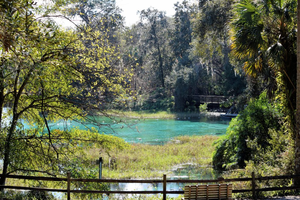 The gardens at Rainbow Springs in Dunnellon, Florida.
