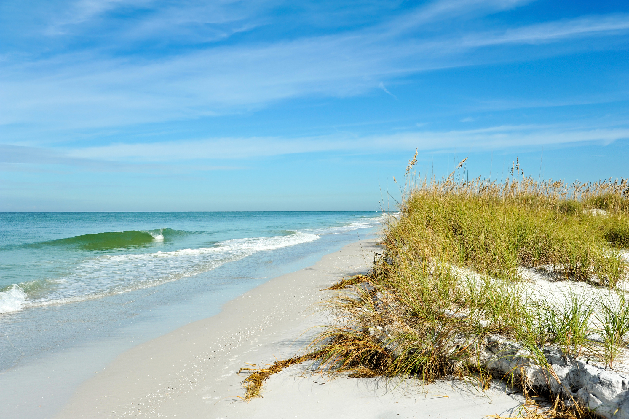 Beautiful Sand Dunes and Sea Oats on the Coastline of Anna Maria Island, Florida