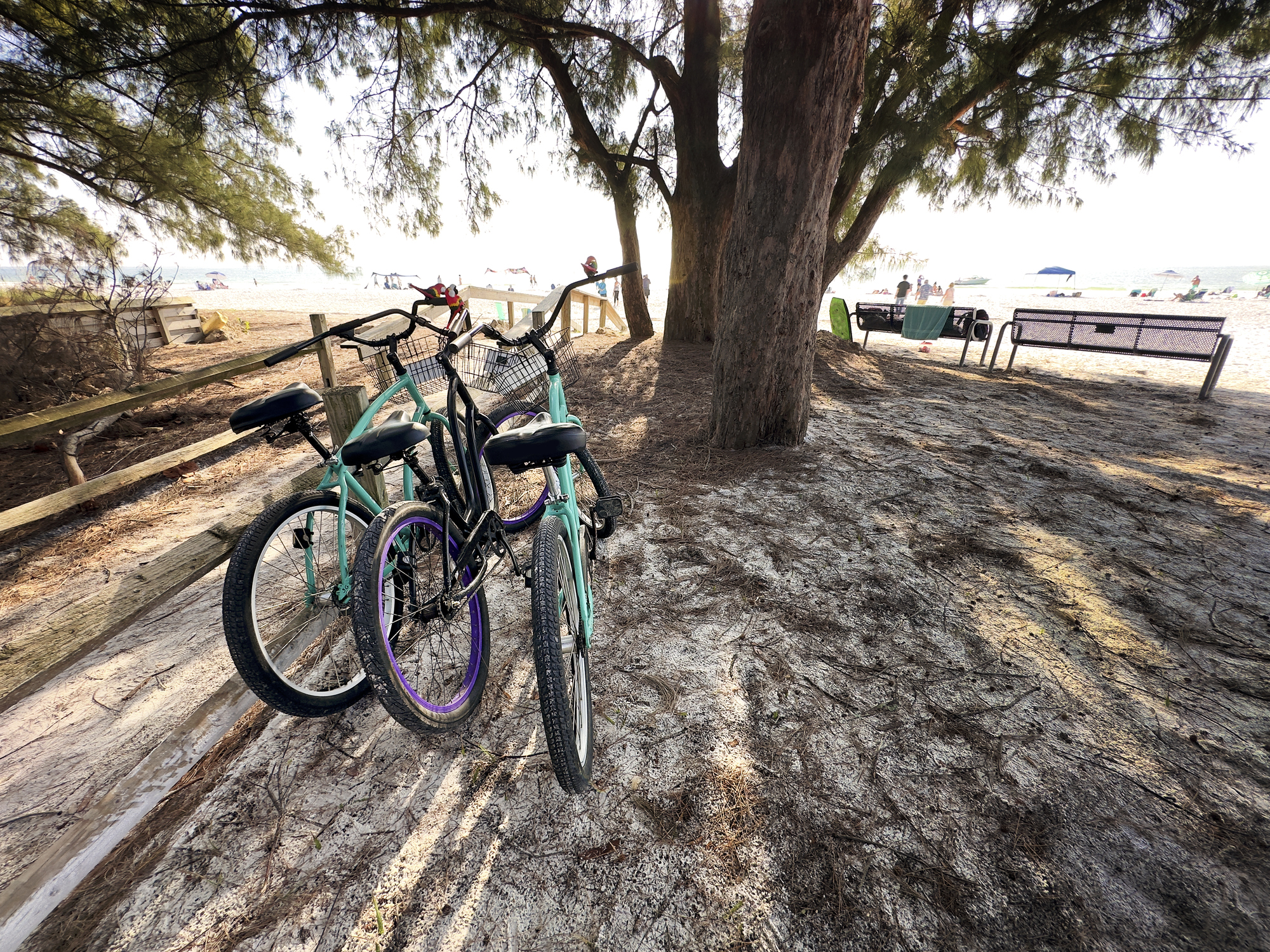 Parked bicycles on tropical beach of Anna Maria Island, Florida