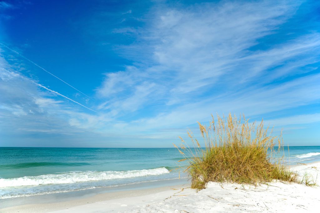 Beautiful Sand Dunes and Sea Oats on the Coastline of Anna Maria Island, Florida a Hidden Gem